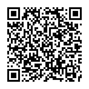 signal-gruppe signal-gruppe